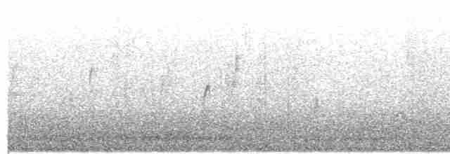 Barred Warbler - ML577382601