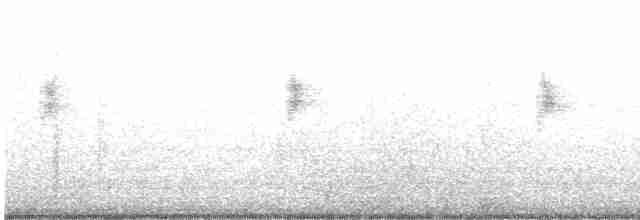 Arctic Warbler - ML577389691