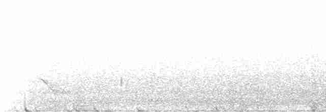 Бурый соловьиный дрозд - ML577451471