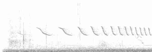 Field Sparrow - ML577471411