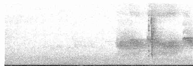 vlhovec červenokřídlý - ML57747491