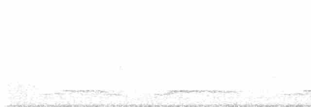 Plongeon huard - ML577476301