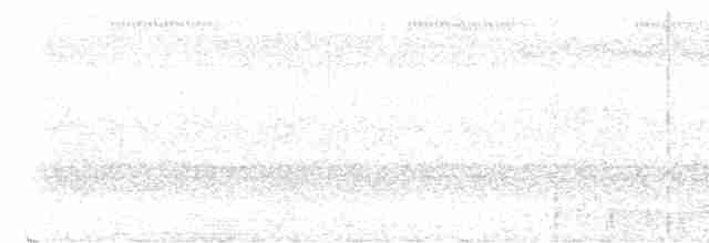 Красногузый трогон - ML577505801
