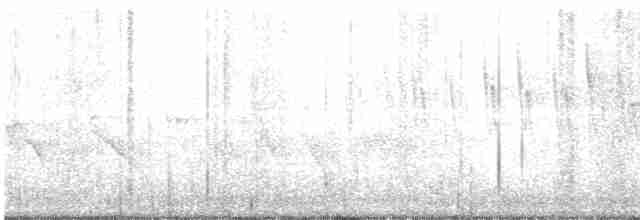 Малая вильсония - ML577528911