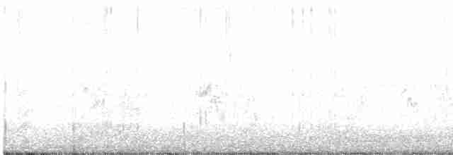 Hirondelle à front blanc - ML577529481