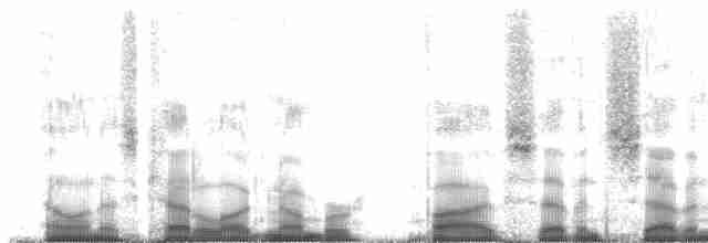 Красноухая которра - ML57755