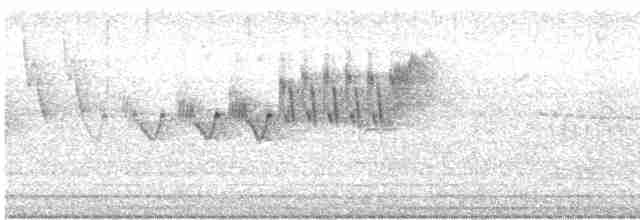 Cerulean Warbler - ML577615011