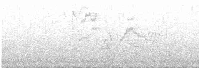 Дрізд-короткодзьоб малий - ML577617221