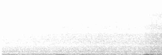 Жовтогорлик північний [група trichas] - ML577642881