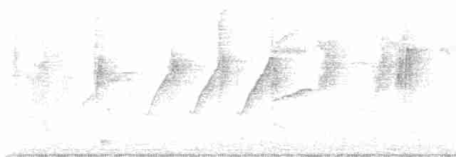 Glanzflügel-Nektarvogel (Boholnektarvogel) - ML577689471