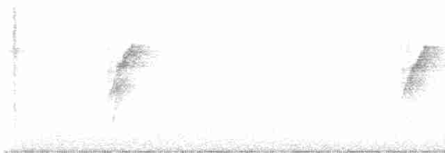Glanzflügel-Nektarvogel (Boholnektarvogel) - ML577690221