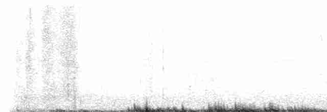 Vireo Ojiblanco - ML577706021