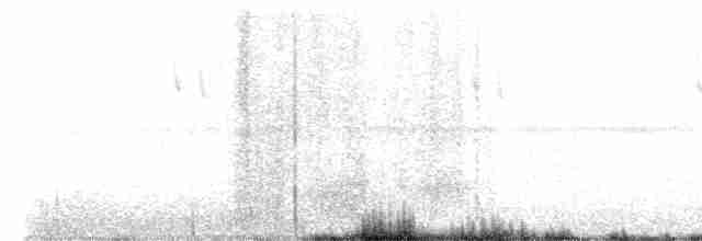 Vireo Ojiblanco - ML577706161