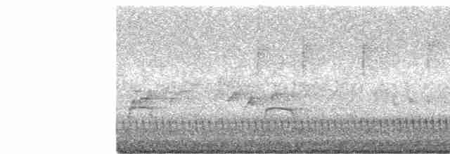 Eurasian Nightjar - ML577769971
