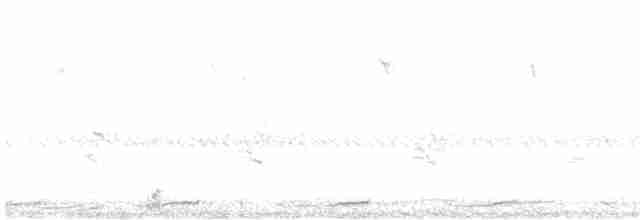 gråmaskepetrell - ML577777731