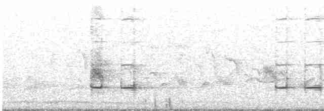 Kestane Kanatlı Tepeli Guguk - ML577782991