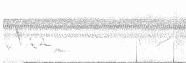 Vireo Ojiblanco - ML577812141