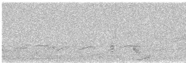 Hint Ardıcı (nigropileus) - ML577820191