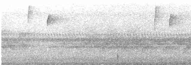 Поплітник каролінський - ML577823381