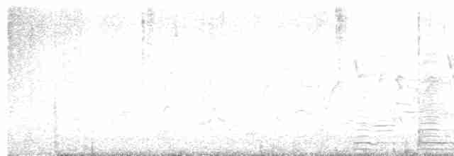 Cisne Trompetero - ML577844441