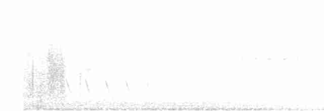 White-eyed Vireo - ML577853431