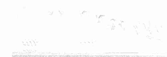 Vireo Ojiblanco - ML577853711