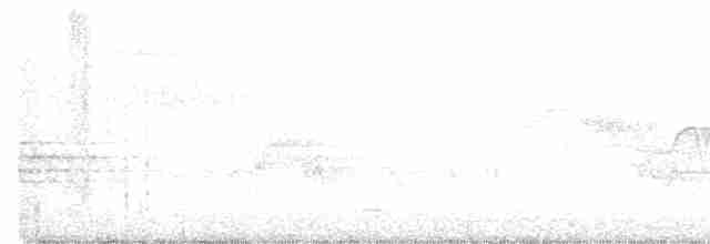 Cerulean Warbler - ML577882981