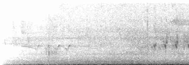 Шишкар ялиновий (підвид mesamericana) - ML577891931