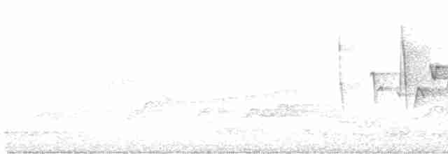 Canada Warbler - ML577892731