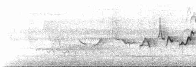 Gray-crowned Yellowthroat - ML577893311