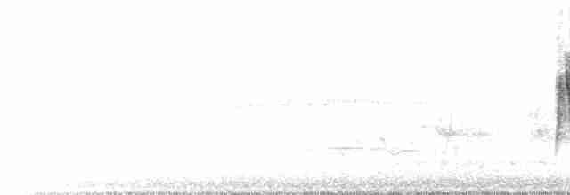 Turuncu Gagalı Bülbül Ardıcı - ML577893431