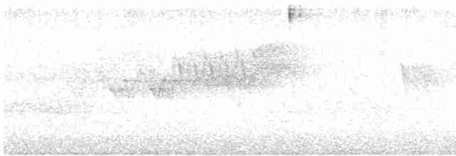 Cerulean Warbler - ML577930251