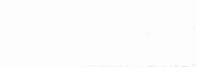 Черноспинный трёхпалый дятел - ML578008931
