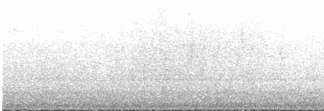 Percefleur noir - ML578013301