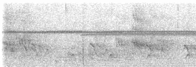 Thicket Tinamou - ML578024631