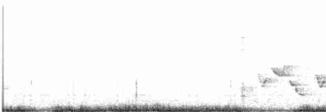 Поплітник каролінський - ML578041041