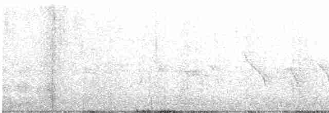 Black-crowned Night Heron - ML578129361