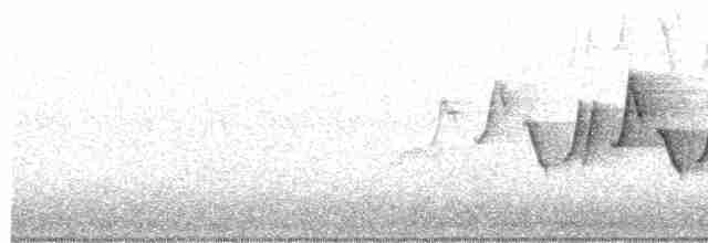 Common Yellowthroat - ML578131891