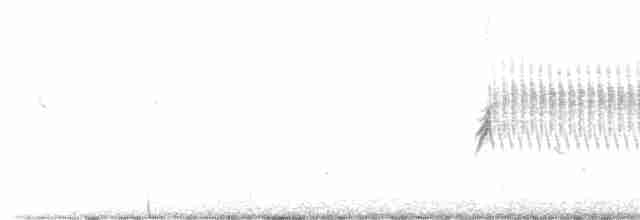 Фиалковый калипсо - ML578135201