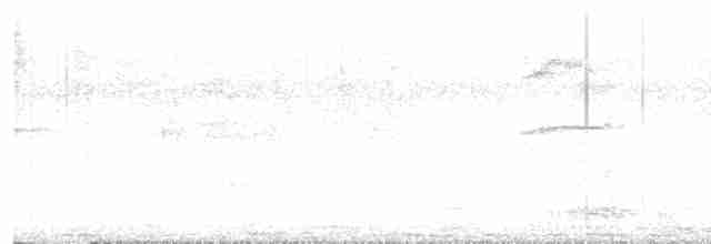 Organiste de brousse - ML578135521