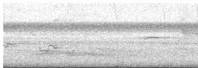 White-shouldered Antshrike - ML578164451