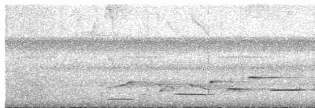 Толстоклювый крапивник - ML578165081