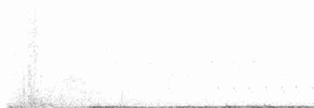 Geai de Steller (groupe diademata) - ML578170601