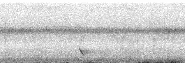 Méliphage de Viti Levu - ML5782