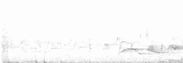 Great Reed Warbler - ML578203031