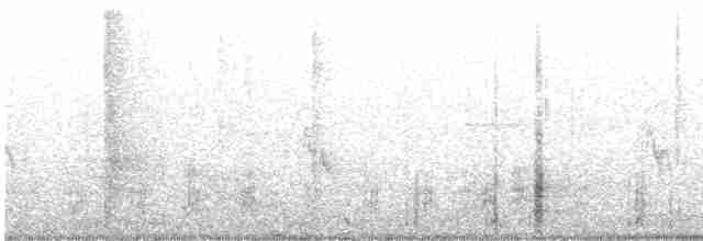 Moskof Ördeği (evcil tip) - ML578207211