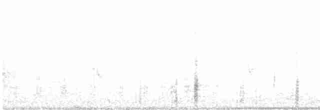 Мускусная утка (Одомашенного типа) - ML578207221