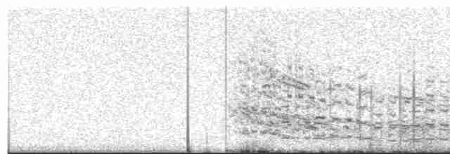 オーストラリアシロカツオドリ - ML578209311