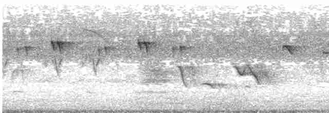 Common Kingfisher - ML578210191