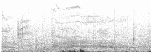Mouette argentée (scopulinus) - ML578211351